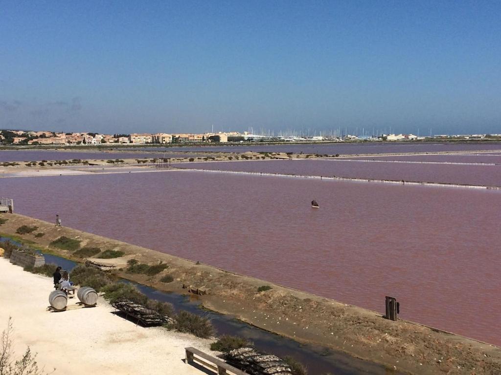 Gruissan Appartement Calme, Vue Sur Port De Plaisance -Clim, Empl.Parking ภายนอก รูปภาพ